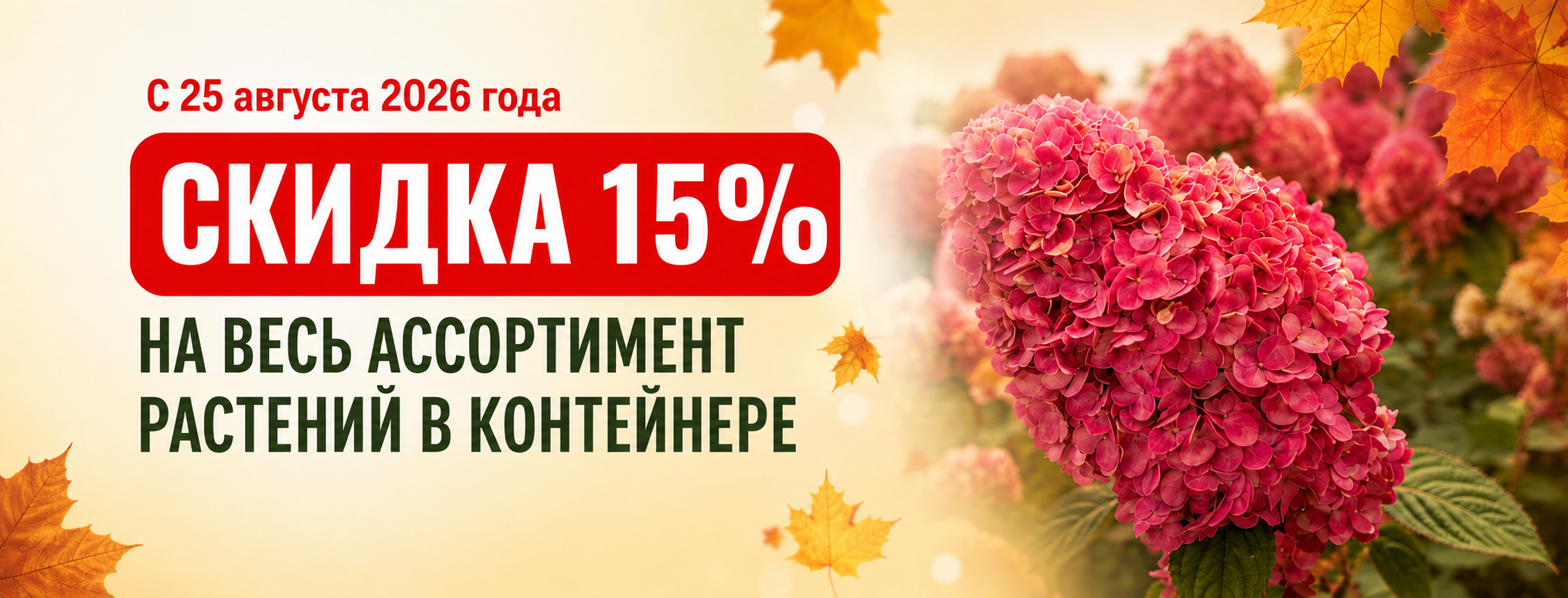 Осенние скидки! 